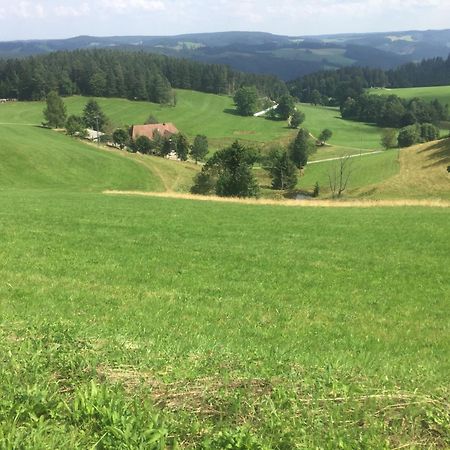 Im Salzgassle Apartment Schonach im Schwarzwald Ngoại thất bức ảnh