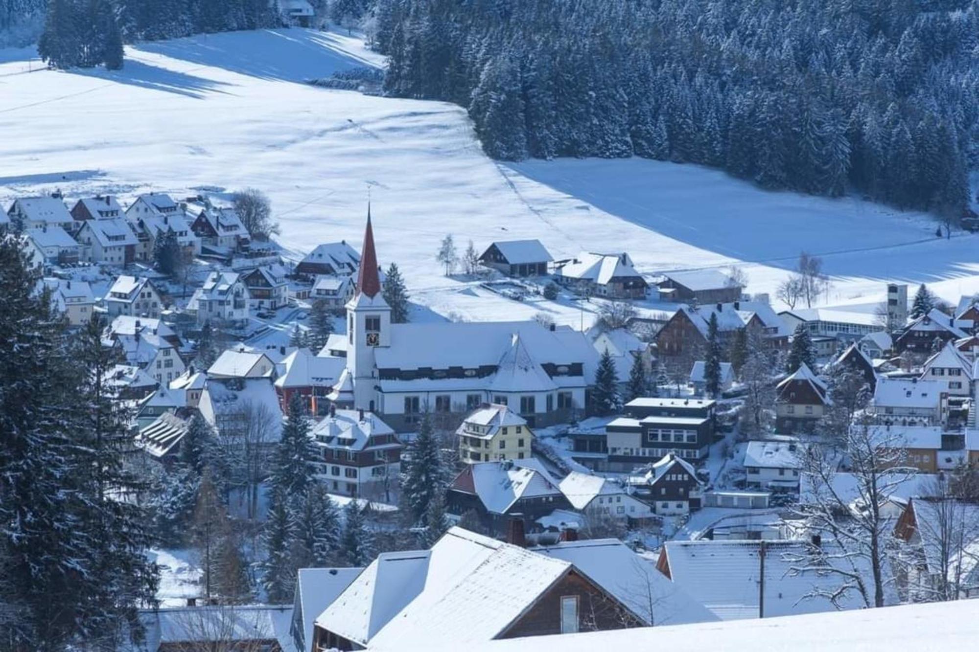 Im Salzgassle Apartment Schonach im Schwarzwald Ngoại thất bức ảnh
