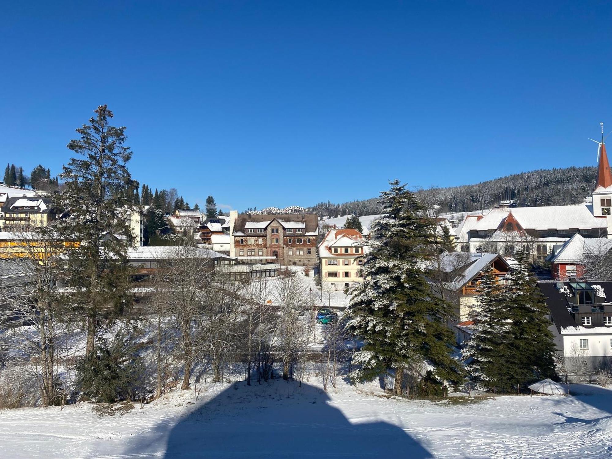Im Salzgassle Apartment Schonach im Schwarzwald Ngoại thất bức ảnh